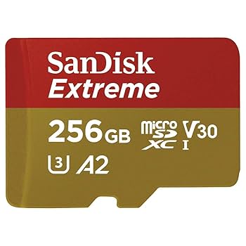 Amazon.com: SanDisk Extreme 256GB MicroSD Card for GoPro